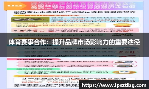 专属指南