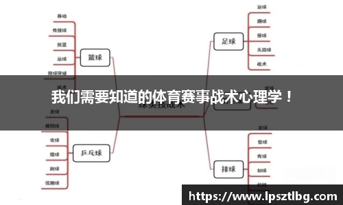 专属指南