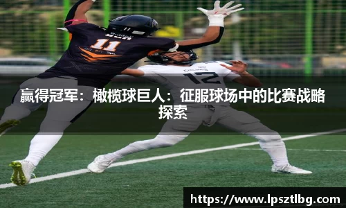 专属指南