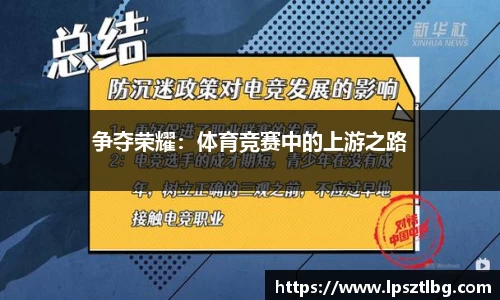 专属指南